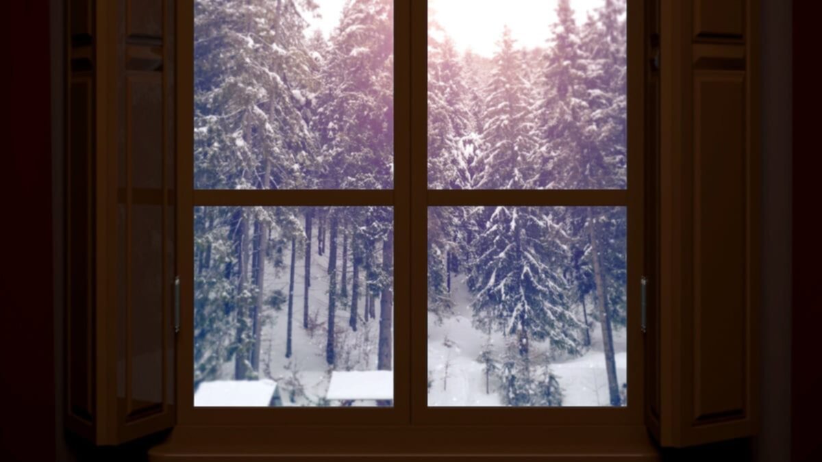 windows with a winter snow fall outside