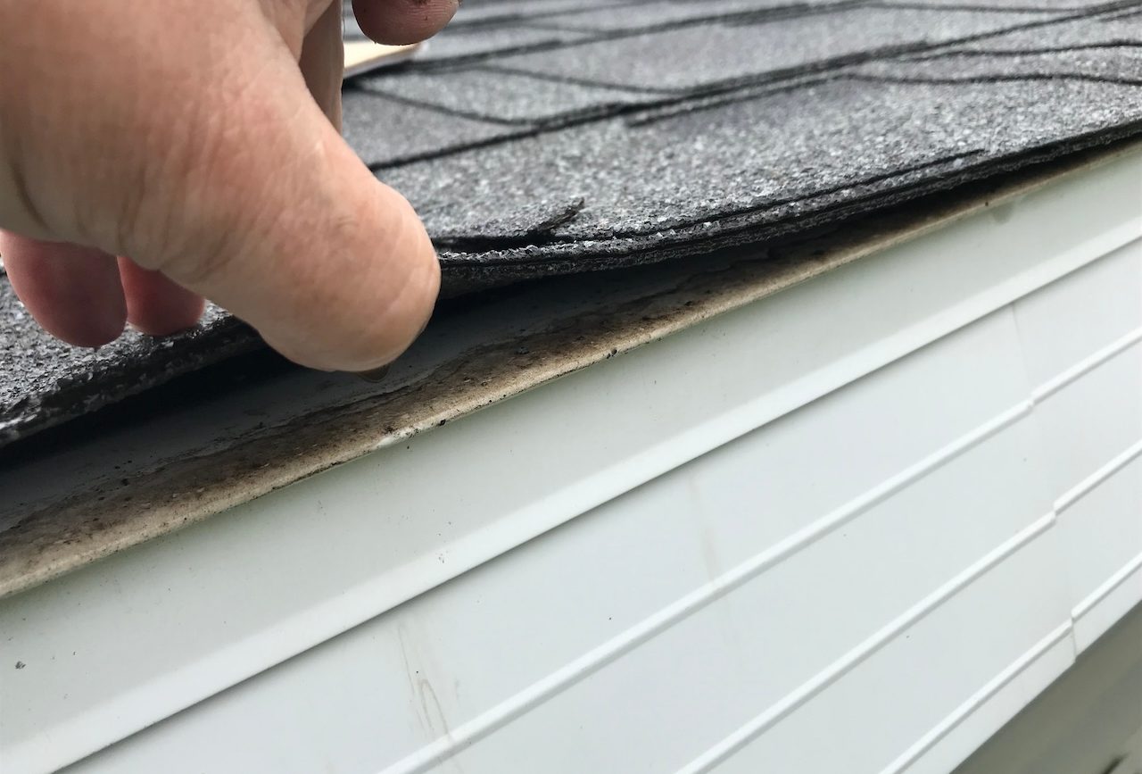 roof inspection up-close, under the shingles near the gutters